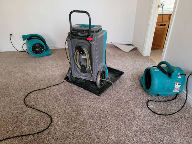 Best Flood restoration services  in Ashland, NE