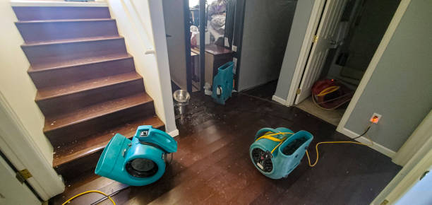 Best Water damage mitigation services  in Ashland, NE