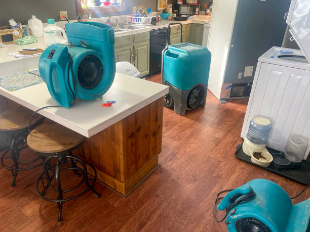 Best Water damage restoration near me  in Ashland, NE