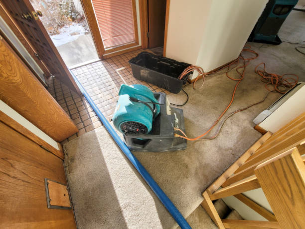 Reliable Ashland, NE Water damage restoration Solutions