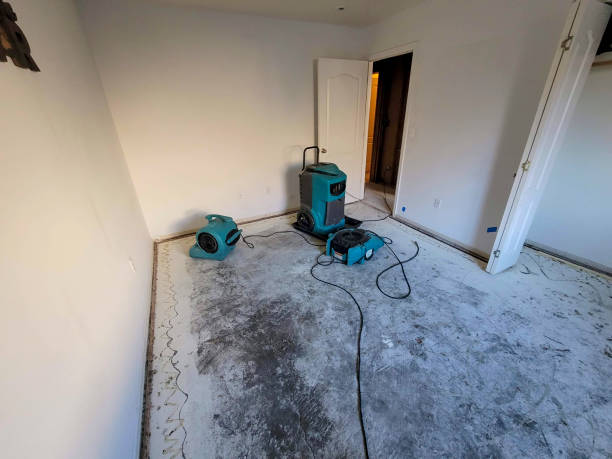Best Professional water damage repair  in Ashland, NE