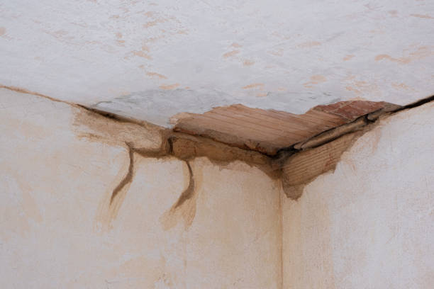 Best Water damage contractors near me  in Ashland, NE
