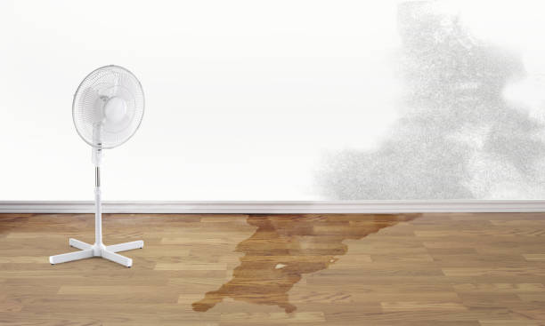 Best Residential water damage restoration  in Ashland, NE