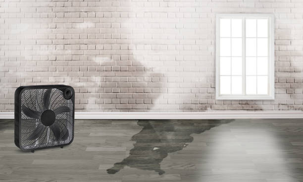 Water damage restoration process in Ashland, NE