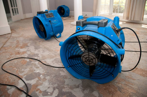 Best Commercial water damage restoration  in Ashland, NE
