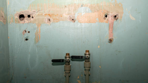Best Flooded house restoration  in Ashland, NE