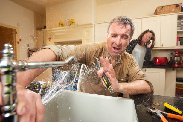Best 24/7 water damage repair  in Ashland, NE